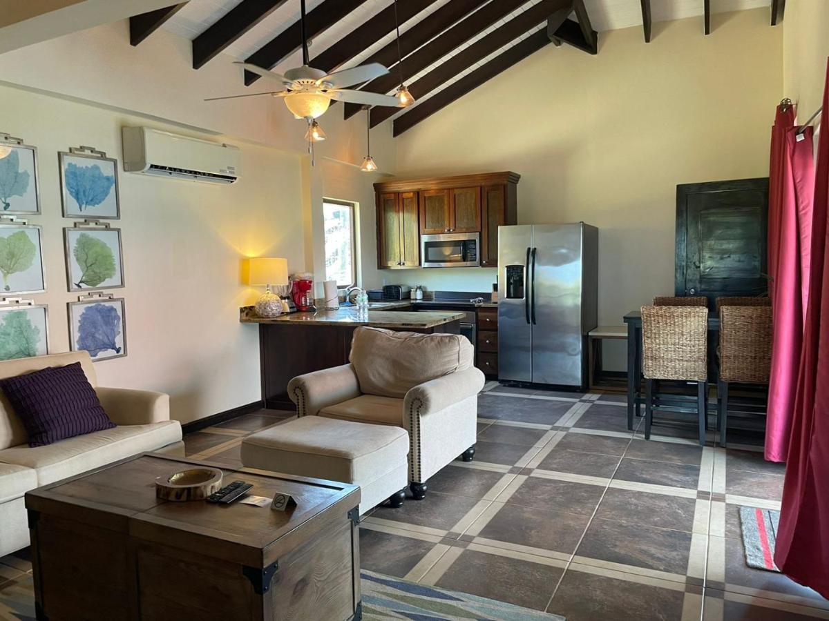 Brisa Oceano Resort Placencia エクステリア 写真